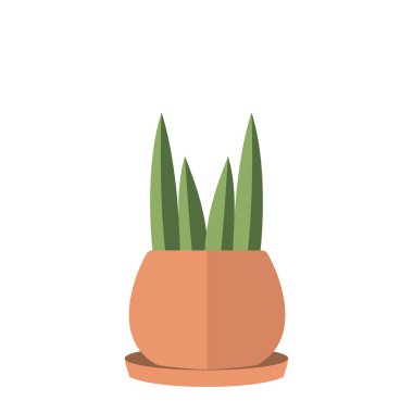 Şirin kaktüs kapalı alan bitki ikonu Vektör illüstrasyonu