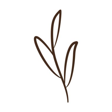 Klasik el yapımı yaprak çizimi Vektör illüstrasyonu