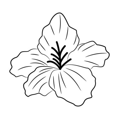 Klasik el çizimi çiçek çizimi Vektör illüstrasyonu