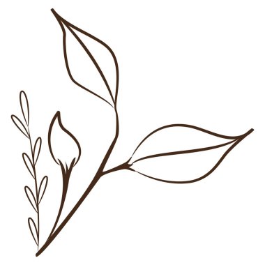 Klasik el yapımı yaprak çizimi Vektör illüstrasyonu