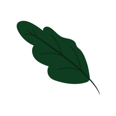 İzole edilmiş doğal yaprak ikonu Vektör illüstrasyonu