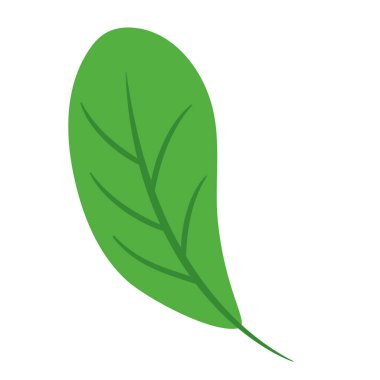 İzole edilmiş doğal yaprak ikonu Vektör illüstrasyonu