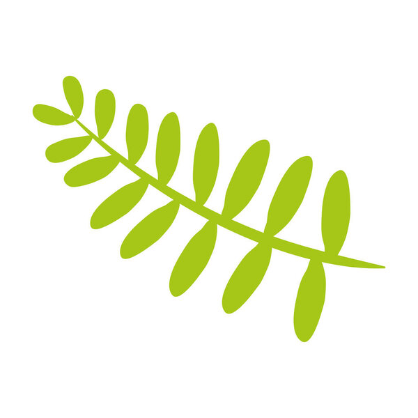 Изолированная цветная иконка из натурального листа