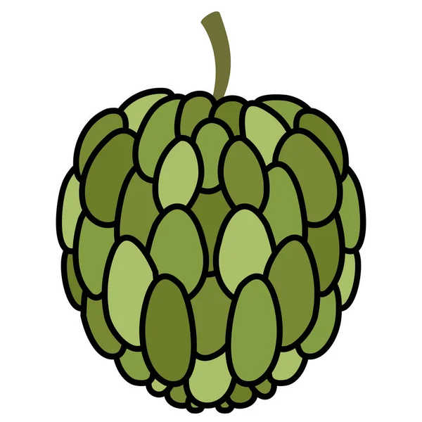 Farbiges Anon Frucht Symbol Vector Illustration lizenzfreie Stockvektoren