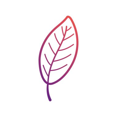 sonbahar yaprakları ikon vektör illüstrasyonu