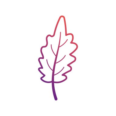 sonbahar yaprakları ikon vektör illüstrasyonu