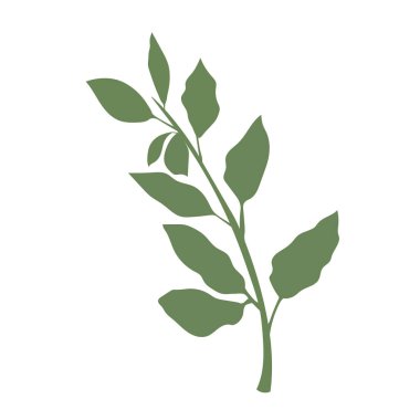 İzole edilmiş yaprak yaprağı Yaprak Vektörü illüstrasyonu