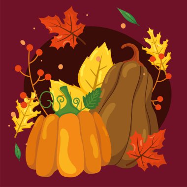 Balkabağı ve kabak dekoru. Vektör illüstrasyonu