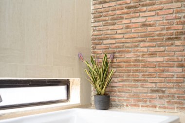 Tuğla duvarın bir zeminine kurulmuş güzel bir süs bitkisi düzeni, doğal ve mimari elementlerin estetik olarak hoş bir kombinasyonunu oluşturuyor.