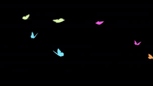 Loop Animation Butterfly Flying Transparent Background Alpha Channel — Video