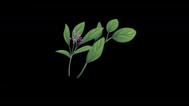 Beautiful Leaf Animation Loop Animation Transparent Background Alpha Channel — Vídeo de Stock