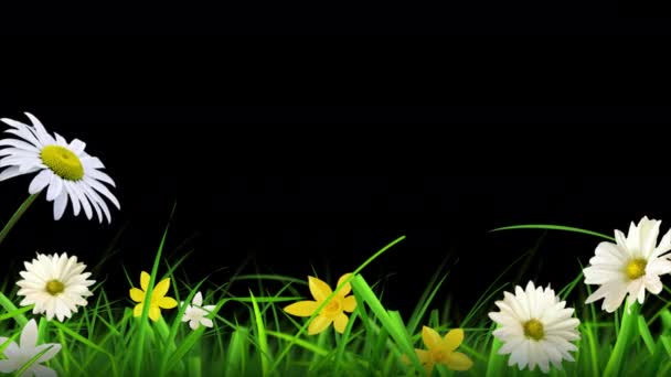 Циклічна Анімація Красивого Квітки Трави Прозорого Фону Альфа Каналом — стокове відео