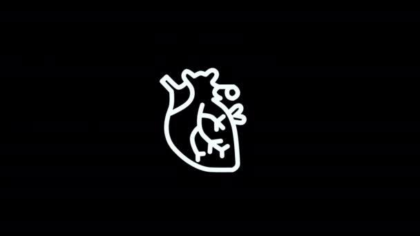 Human Heart Organ Beating Icon Loop Animation Video Transparent Background — Video Stock