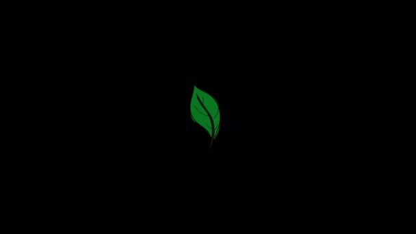 Plant Tree Leaves Flying Wind Icon Loop Animation Video Transparent — Stock Video