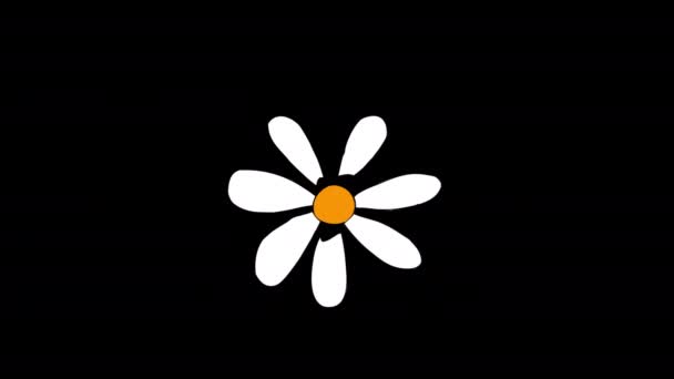 Flower Blossom Icon Loop Animation Video Transparent Background Alpha Channel — Vídeos de Stock