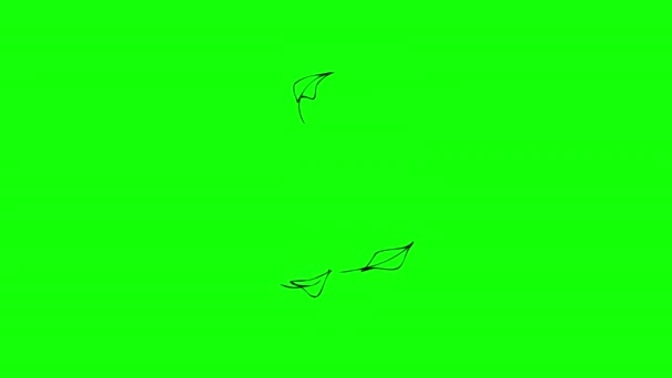 Plant Leaf Tree Leaves Flying Wind Icon Loop Animation Video — Video