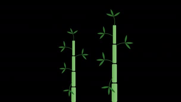 Green Bamboo Tree Icon Loop Animation Video Transparent Background Alpha — Wideo stockowe