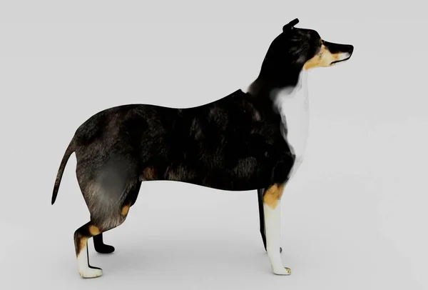 狗3D渲染白色背景最小3D插图 — 图库照片