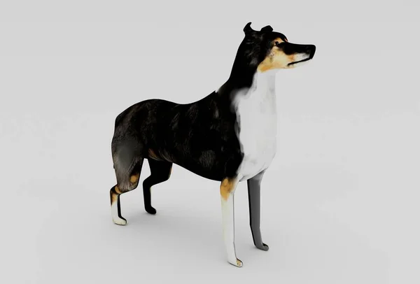 白い背景に犬の3Dレンダリング最小限の3Dイラスト — ストック写真