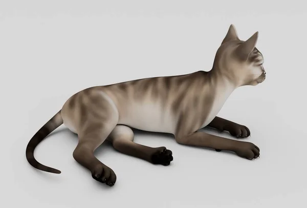 宠物猫最小3D说明白色背景 — 图库照片