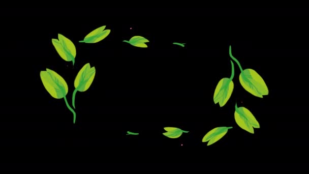 Wedding Titles Copy Space Text Animated Flower Leaf Wreath Floral — Stock Video