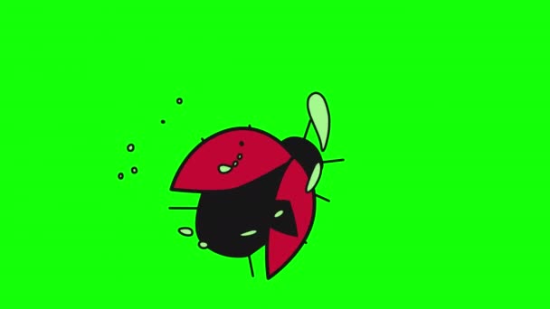 Uğur Böceği Simgesi Döngüsü Alfa Kanalı Ile Video Şeffaf Arkaplan — Stok video