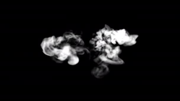 Efekty Mgły Pętla Elementów Dymu Animacja Wideo Przezroczyste Tło Kanałem — Wideo stockowe