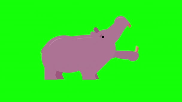 Hippo Icono Lazo Vídeo Animación Fondo Transparente Con Canal Alfa — Vídeos de Stock