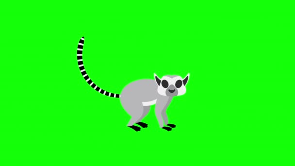 Lemur Ícone Loop Animação Vídeo Fundo Transparente Com Canal Alfa — Vídeo de Stock