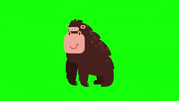 Tecknad Gorilla Ikon Loop Animation Video Transparent Bakgrund Med Alfa — Stockvideo