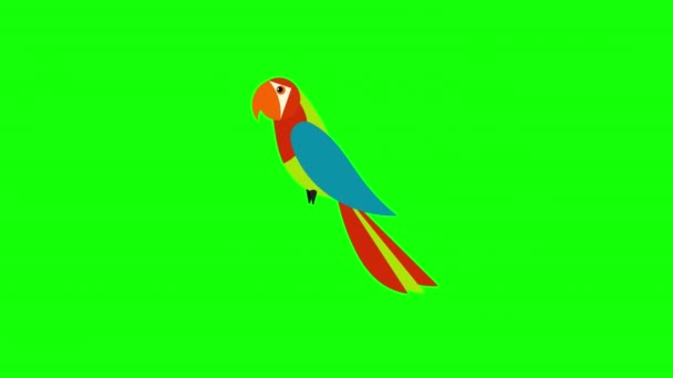 Cartoon Parrot Bird Animal Icon Loop Animation Video Transparent Background — Stock Video