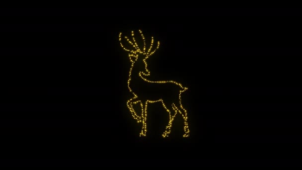 Hjort Neon Ikon Loop Animation Video Transparent Bakgrund Med Alfa — Stockvideo