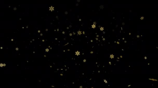 雪の結晶粒子ループアニメーションビデオアルファチャンネルで透明背景 — ストック動画