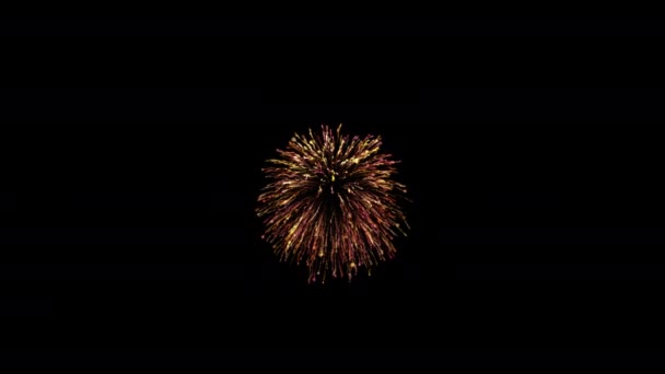 Feux Artifice Célébration Boucle Animation Transparente Pour Nouvel Vidéo Fond — Video
