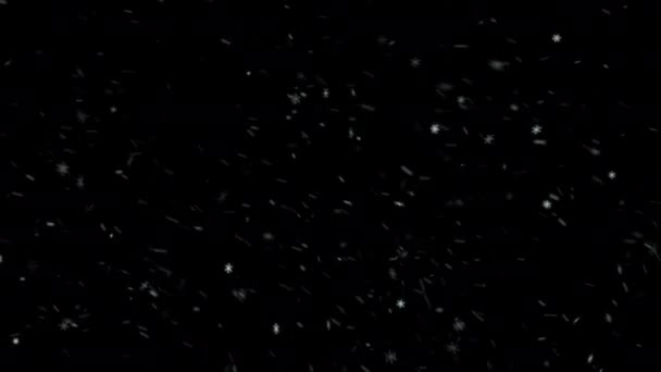 雪花覆盖 黑色背景 缓慢降雪效果无缝回旋 — 图库视频影像