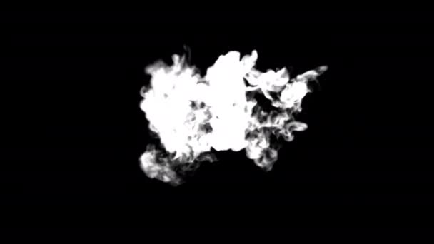 Givré Brouillard Effets Fumée Éléments Boucle Animation Vidéo Transparent Fond — Video