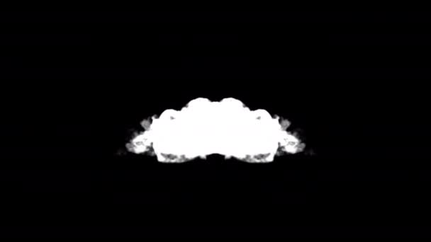 Givré Brouillard Effets Fumée Éléments Boucle Animation Vidéo Transparent Fond — Video