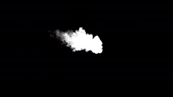Παγωμένη Ομίχλη Επιπτώσεις Καπνού Στοιχεία Βρόχο Animation Βίντεο Διαφανές Φόντο — Αρχείο Βίντεο
