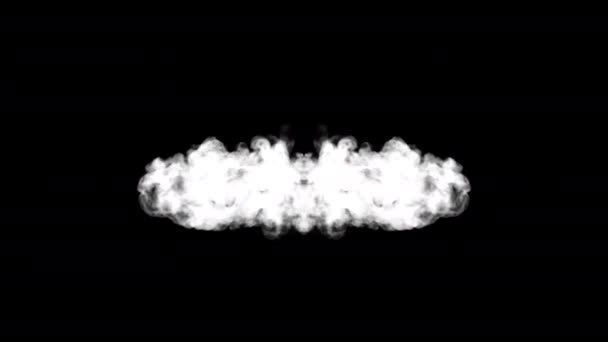 Морозный Туман Эффекты Дыма Элементы Дыма Цикл Анимации Видео Прозрачный — стоковое видео