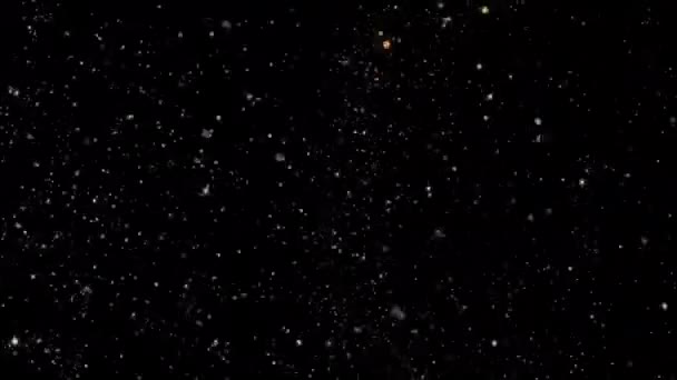 アルファチャンネルと空飛ぶ塵粒子雨や白い雪のオーバーレイ背景 — ストック動画