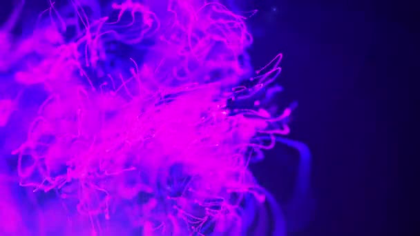 Coloridos Flujos Partículas Ondas Voladoras Digitales Futuristas Moviéndose Animación Abstracta — Vídeos de Stock