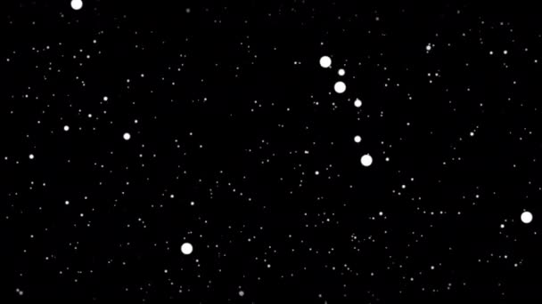 Létající Prachové Částice Déšť Nebo Bílý Sníh Překrývají Pozadí Alfa — Stock video