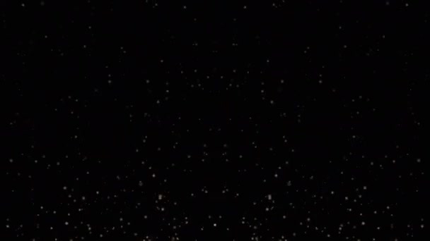 飛ぶ塵粒子はアルファチャンネルが付いている光沢のある雨か白い雪のオーバーレイの背景を照らします — ストック動画