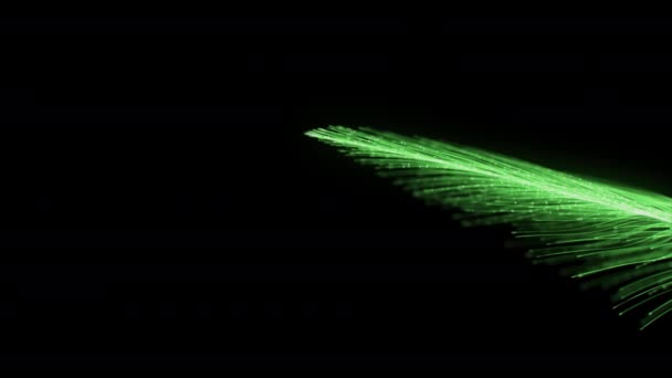 Fütüristik Optik Fiber Parçacık Çizgileri Siyah Arkaplan Üzerinde Soyut Döngü — Stok video