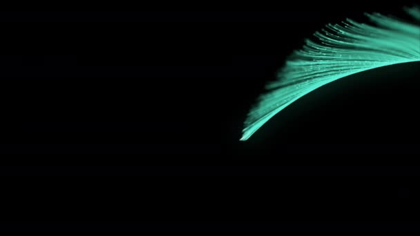 Futuristische Optische Vezeldeeltjes Lijnen Stromend Bewegend Effect Abstracte Lus Animatie — Stockvideo