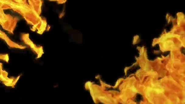 Fire Flame Frames Element Overlay Motion Graphics Video Transparent Background — Stock Video