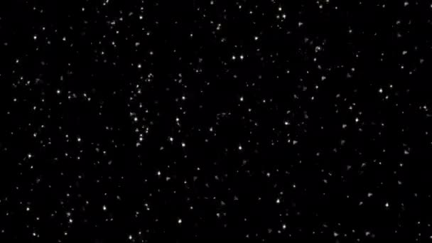 尘埃粒子覆盖在漂浮的抛射粒子上 在黑色背景上带有Bokeh — 图库视频影像