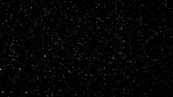 尘埃粒子覆盖在漂浮的抛射粒子上 在黑色背景上带有Bokeh — 图库视频影像