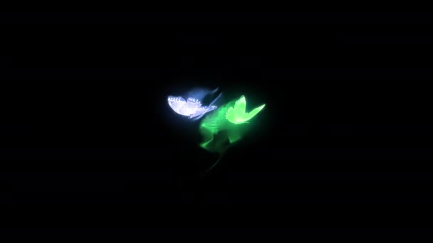 Kolorowy Neon Monarch Motyl Latający Płynna Animacja Pętli Czarnym Tłem — Wideo stockowe