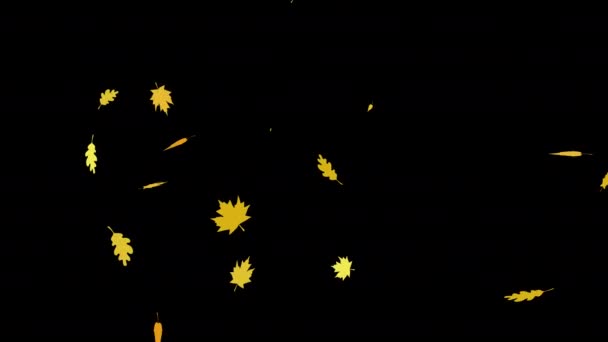 Осень Красочные Листья Благодарения Падают Альфа Канал Прозрачный Фон — стоковое видео